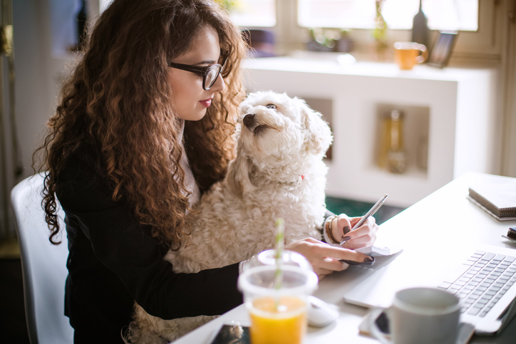 Hund mot jobbstress Hund mot jobbstress