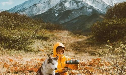 Fjällvandra med din hund Fjällvandra med din hund
